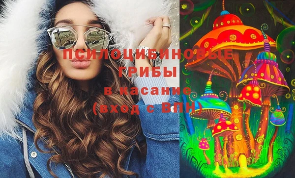 стафф Беломорск