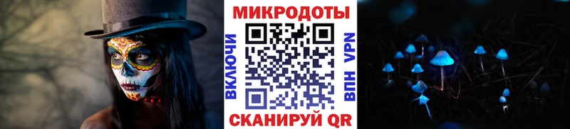 Псилоцибиновые грибы прущие грибы  Малая Вишера 